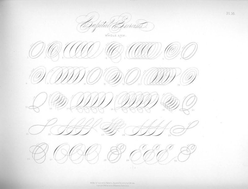 Упражнения для тренировки каллиграфического почерка