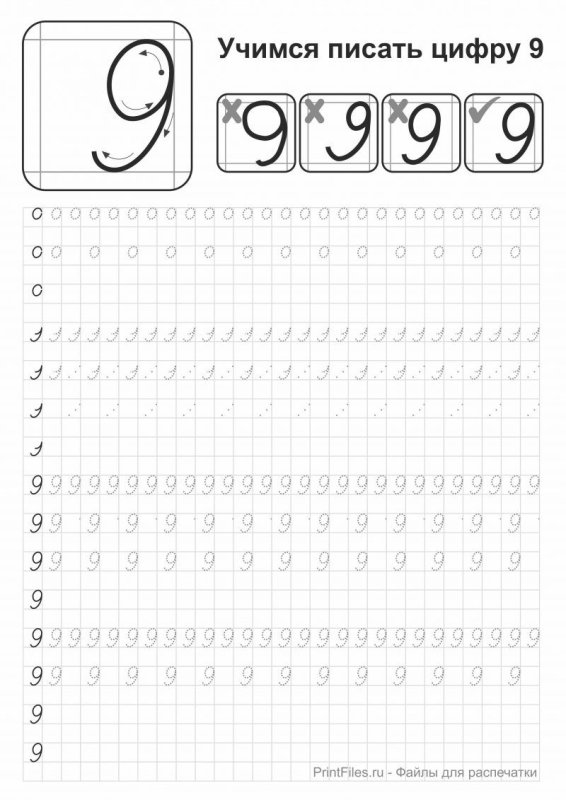 Математические прописи цифра 9 для дошкольников