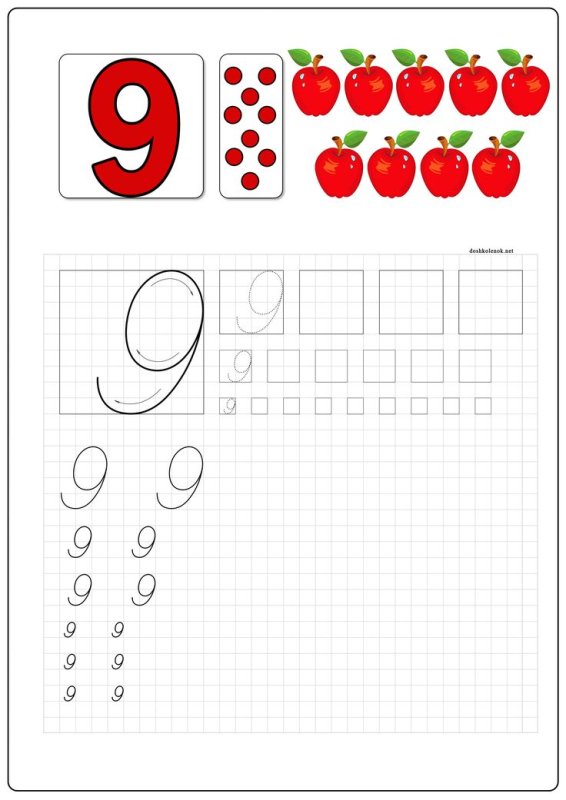 Цифра 9 пропись для дошкольников
