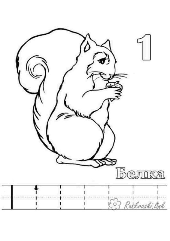 Раскраска Белочка с цифрами