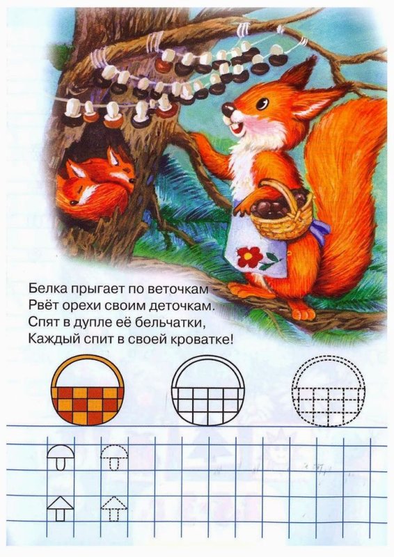 Задания от белки для дошкольников