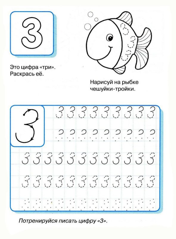 Число и цифра 3 пропись для детей