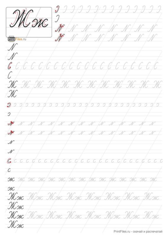 Прописи буква ж прописная распечатать
