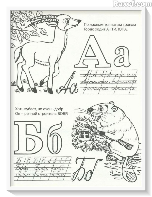 Раскраска Азбука книга