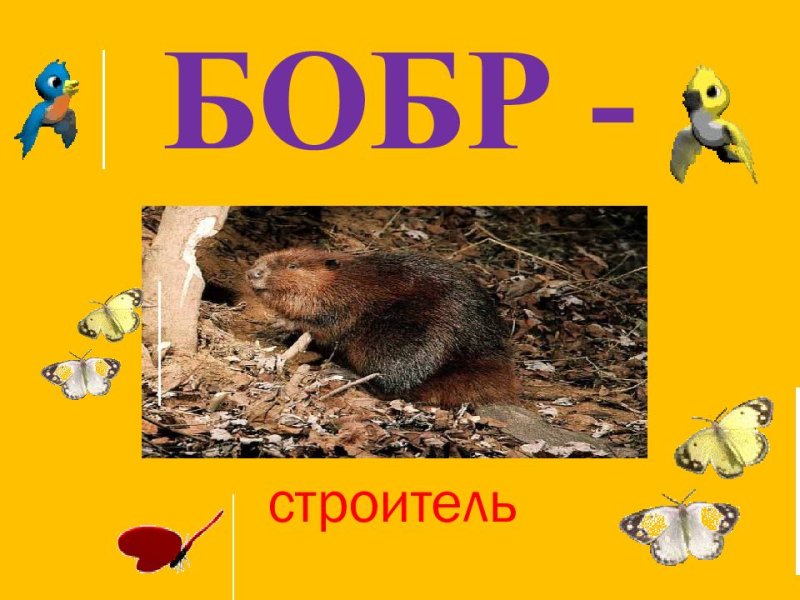 Бобр Строитель внеурочное занятие 1 класс презентация