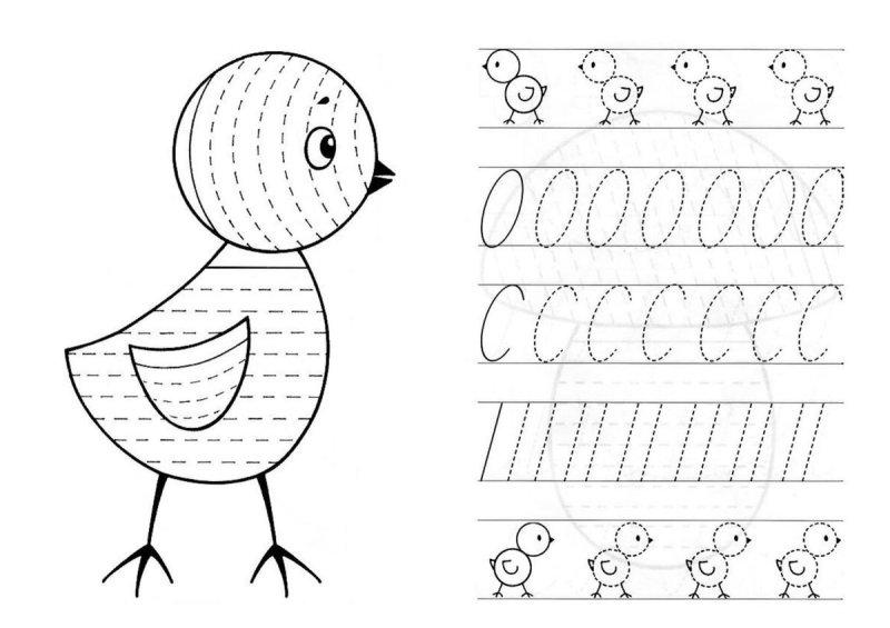 Пропиши для дошкольников