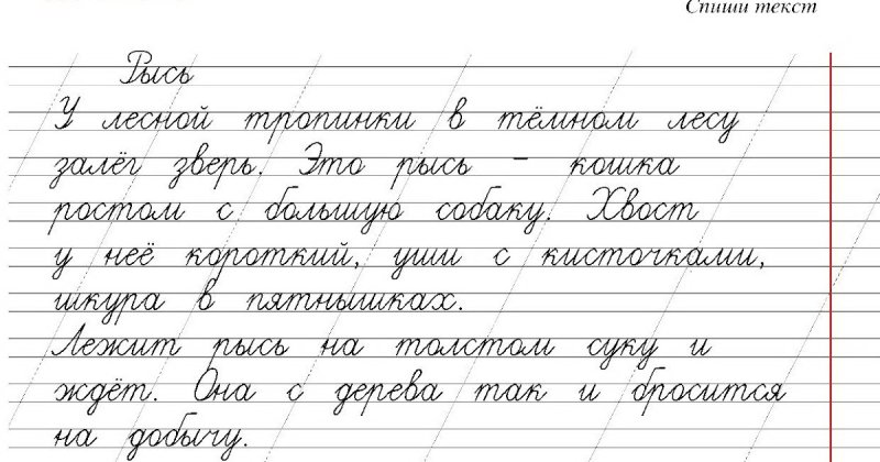 Прописной текст для 1 класса