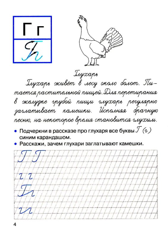 Прописи с рассказами о птицах для детей