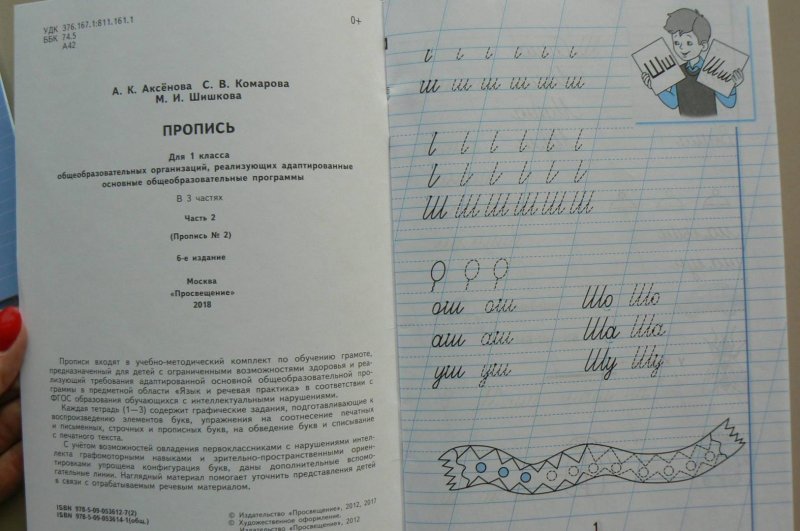 Пропись 1 ФГОС ОВЗ Аксенова Комарова Шишкова