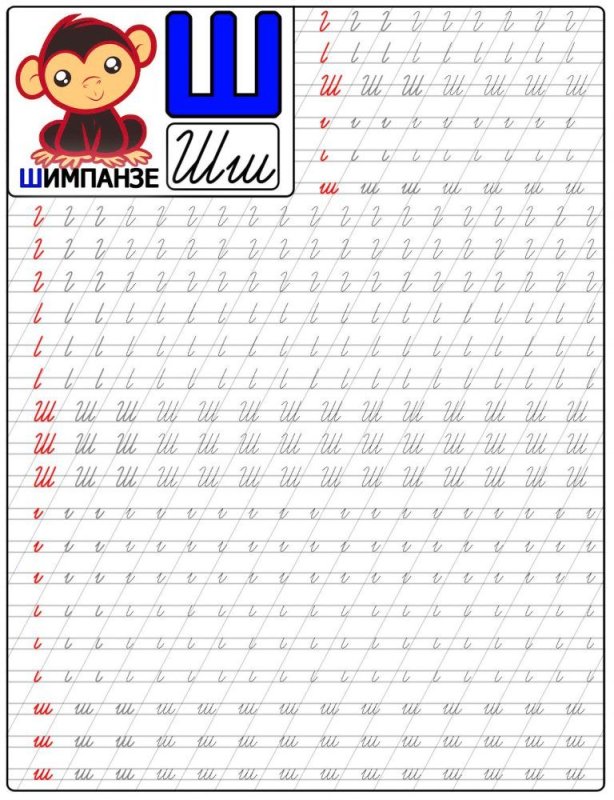 Буква ш письменная пропись