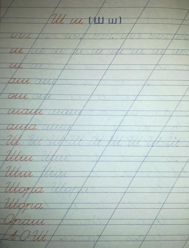 Прописи. Буквы