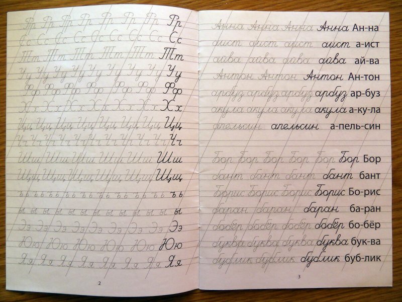 Прописи тренажер