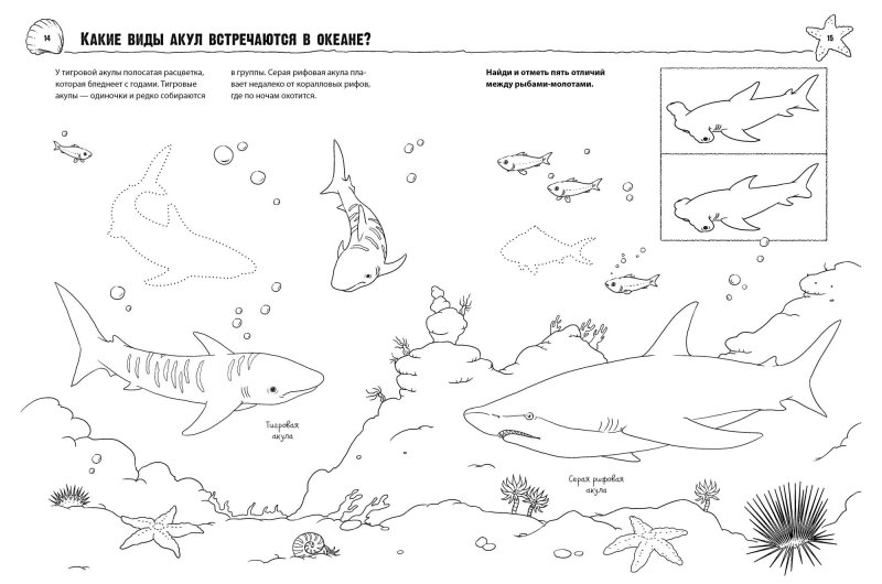 Жители океана задания для дошкольников