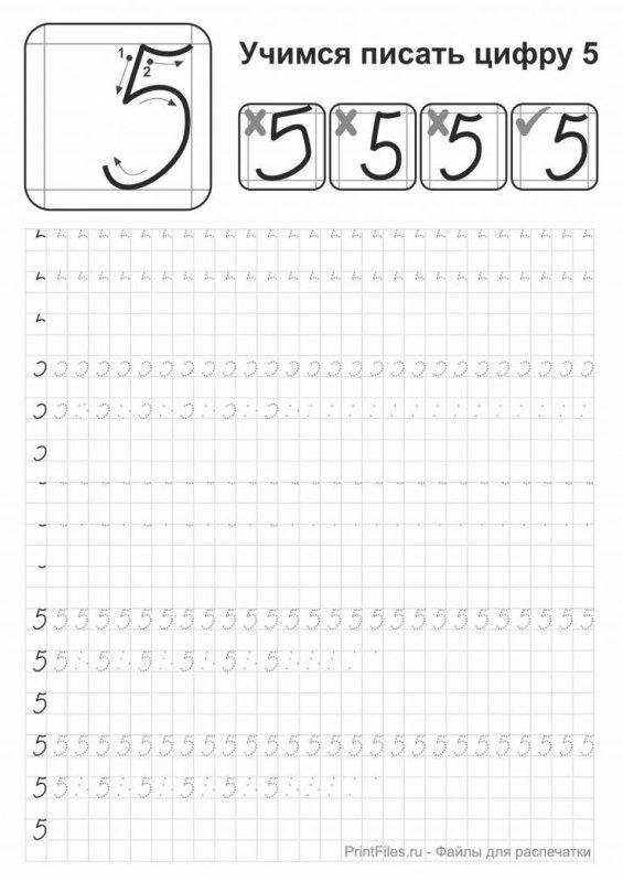 Прописи написание цифры 3 для дошкольников