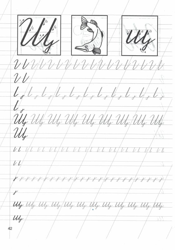 Щ прописи для дошкольников