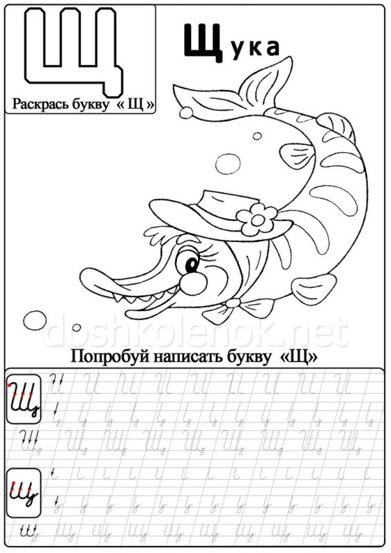Прописи буква щ