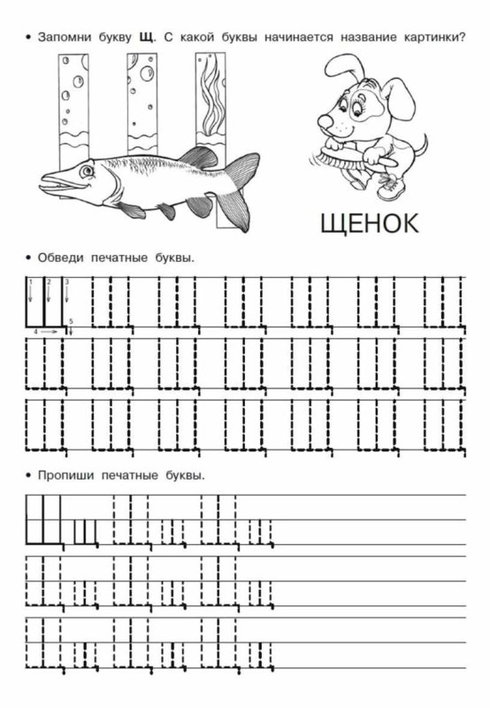 Буква щ пропись для дошкольников