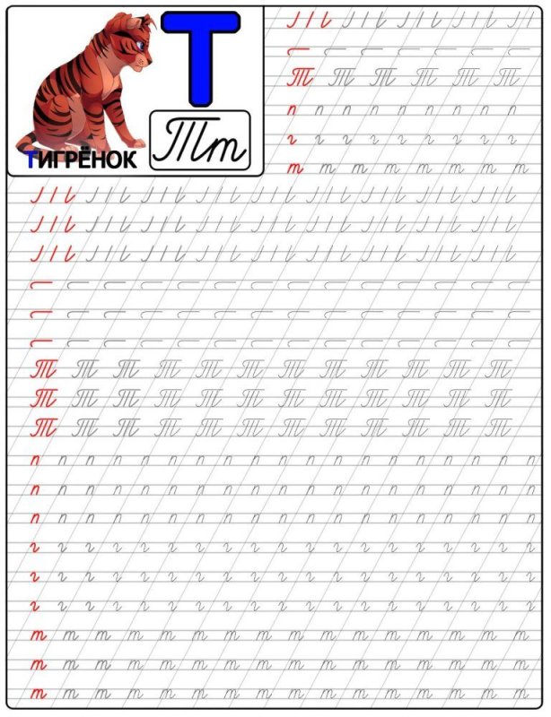 Прописи буква т прописная