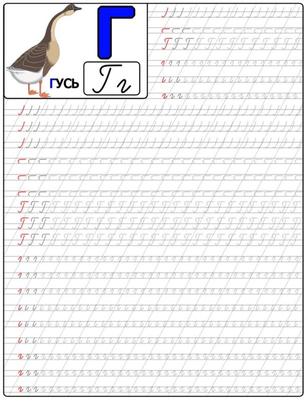 Прописи для детей правописание букв