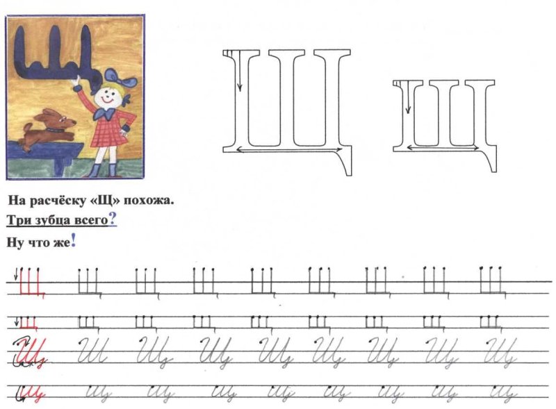 Как писать печатную писать букву щ
