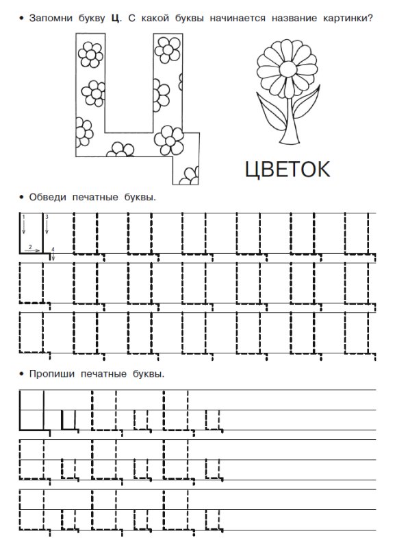 Печатная и письменная строчная и заглавная буква и