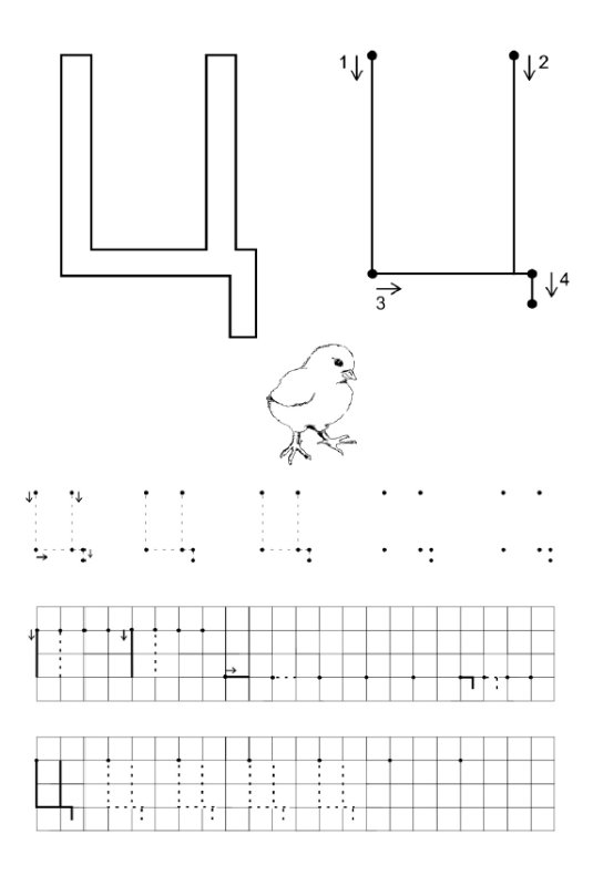 Написание буквы ц печатной