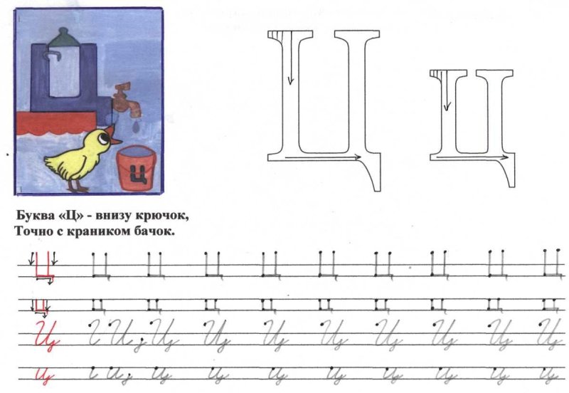 Пропись буквы ц прописной для дошкольников