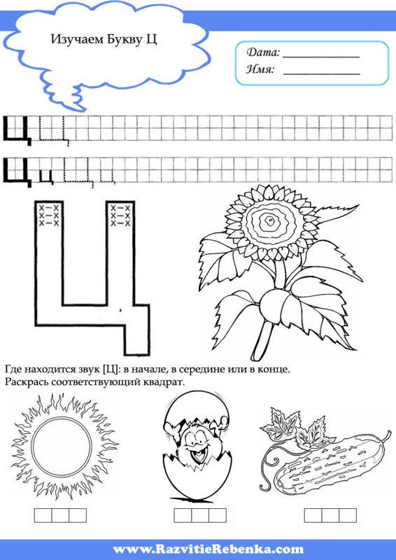 Изучение буквы ц с дошкольниками