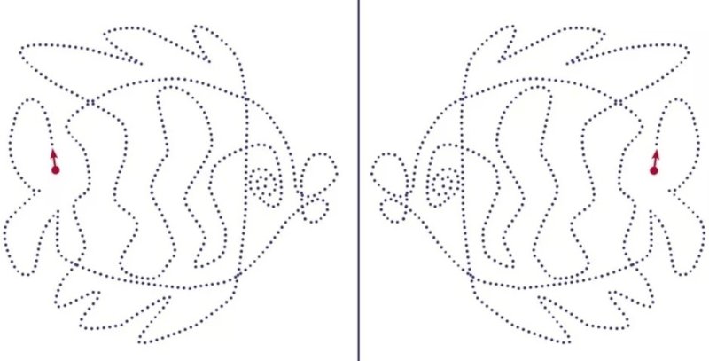 Обведи для дошкольников