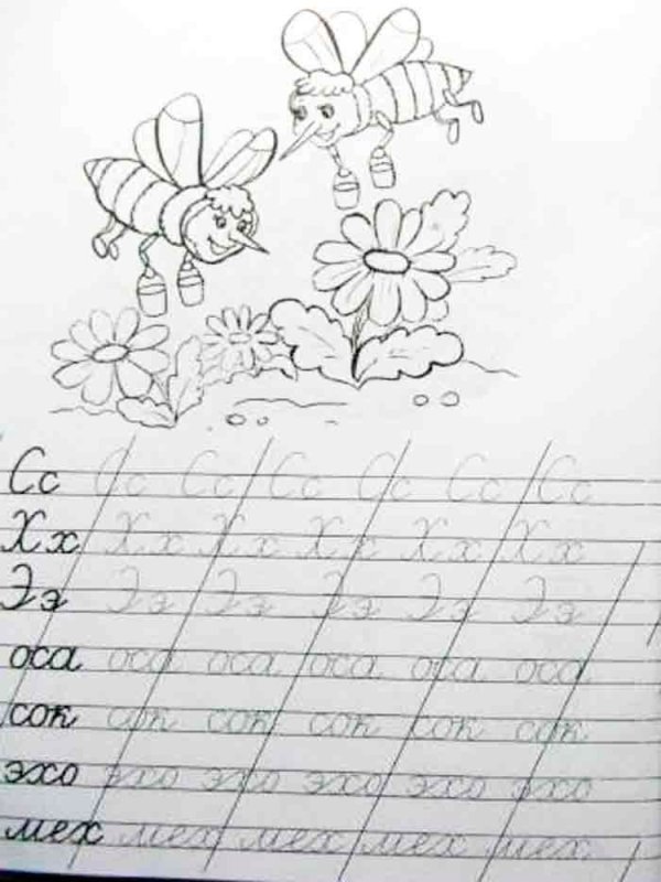 Пропись Оса