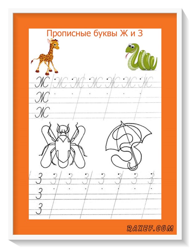 Буква з пропись