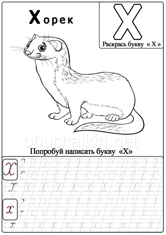 Буква x для дошкольников