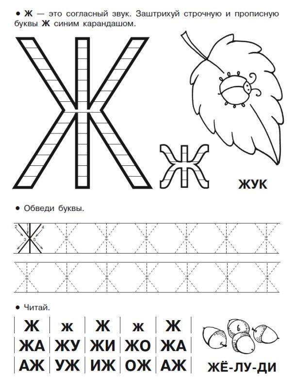 Буква ж задания