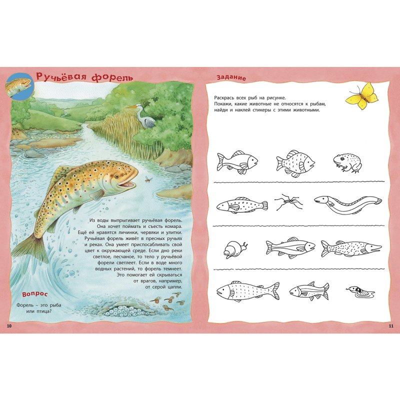 Книга «реки»