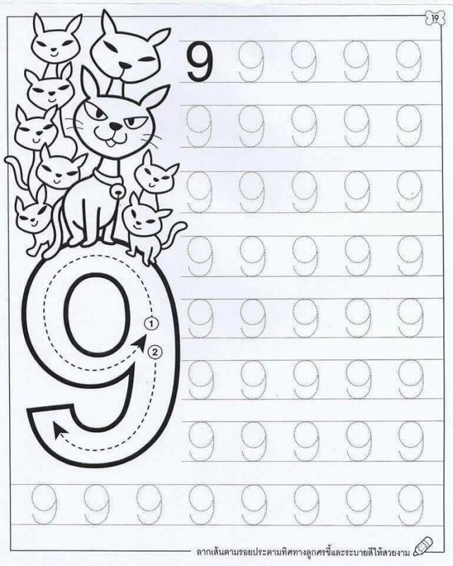 Цифра 9 пропись для дошкольников