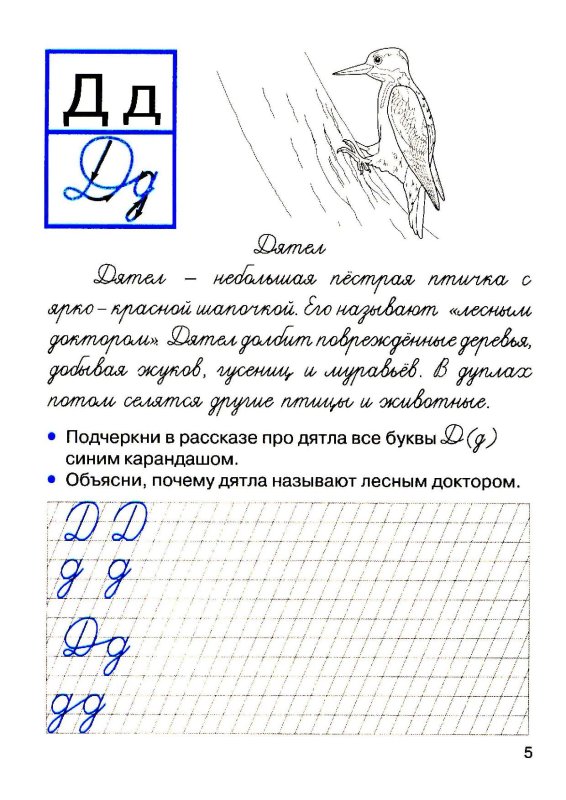 Прописи рассказ