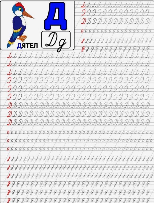 Прописи буква д прописная