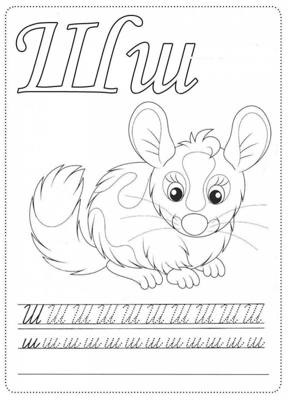 Прописи буква ш