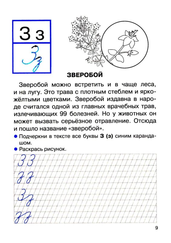 Прописи рассказ