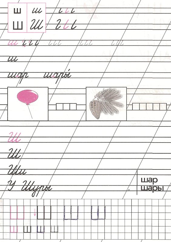 Написание строчной и заглавной буквы ш