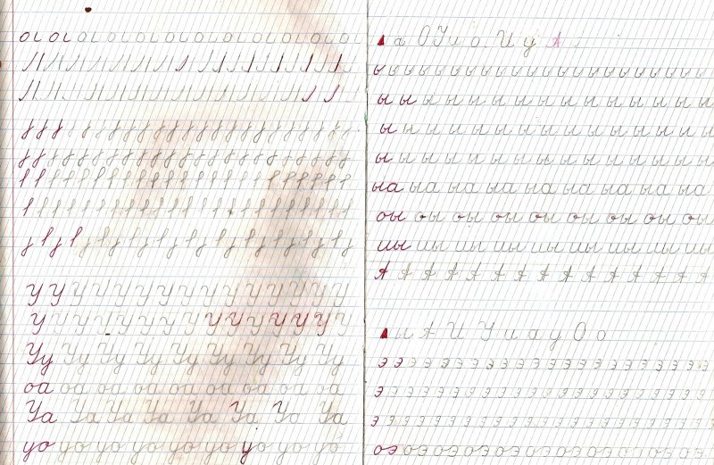 Прописи 1 класс Леонида Некина