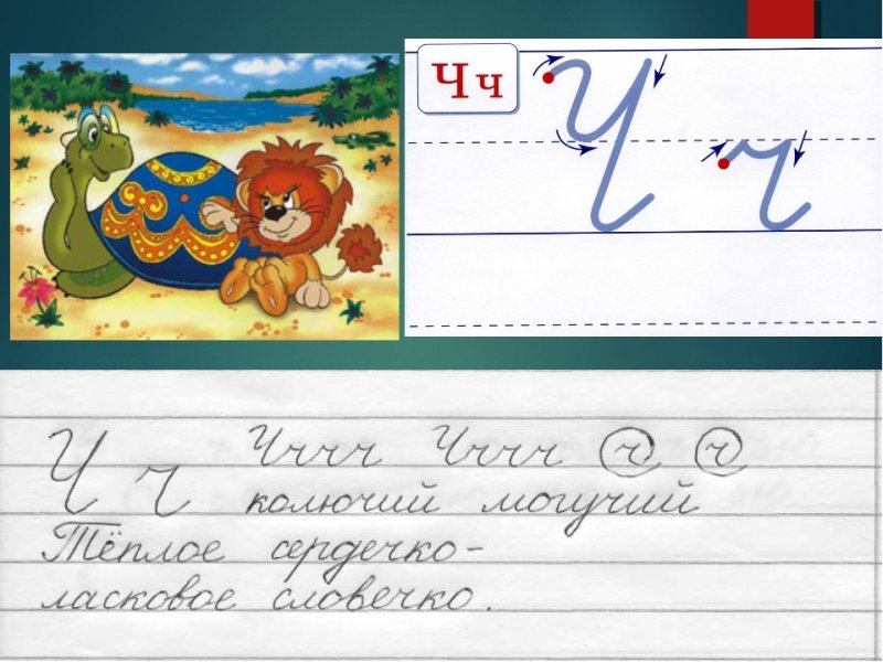 Прописи букв в широкую линейку