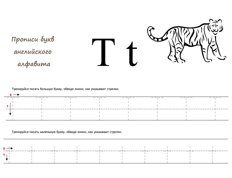 Прописи букв английского алфавита