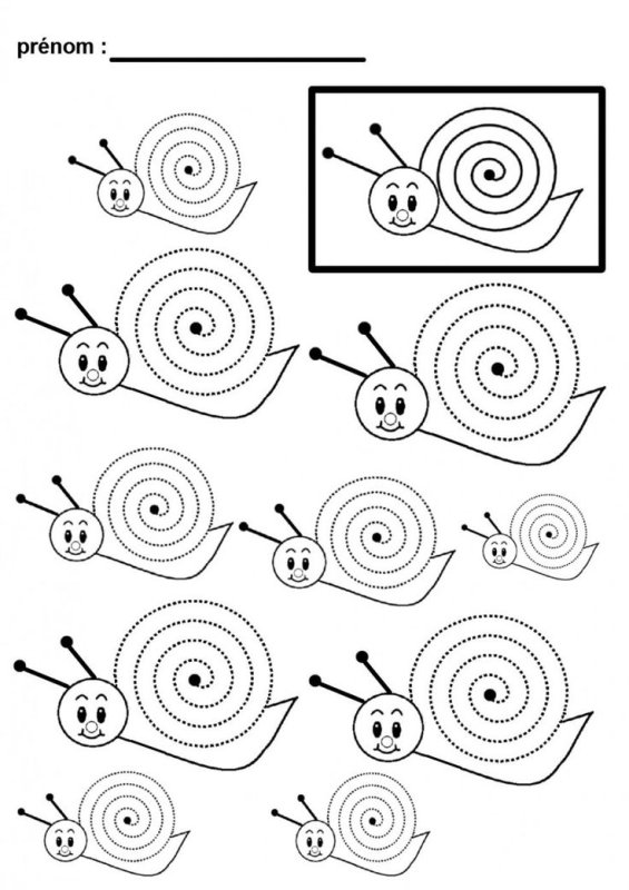Улитка задания для дошкольников